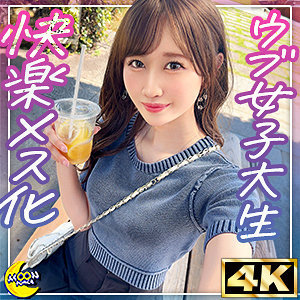 mfc333jp.jpg