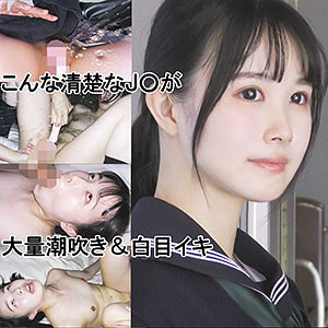 y017jp.jpg